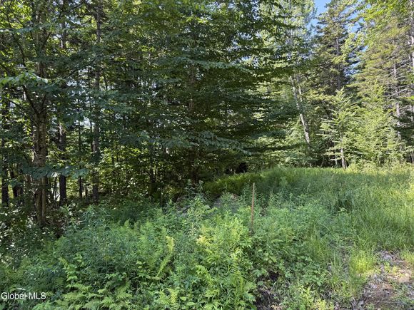 120 Jim's Hill Road Lake Pleasant, NY Plot of land Active - Photo 1 of 3. Opens carousel modal