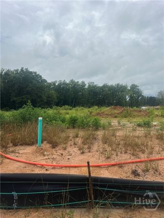 706 Riverton Lane Statesboro, GA Plot of land Sold - Photo 1 of 1. Opens carousel modal