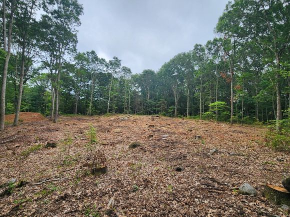 262 Route 81 Killingworth, CT Plot of land Active - Photo 1 of 11. Opens carousel modal