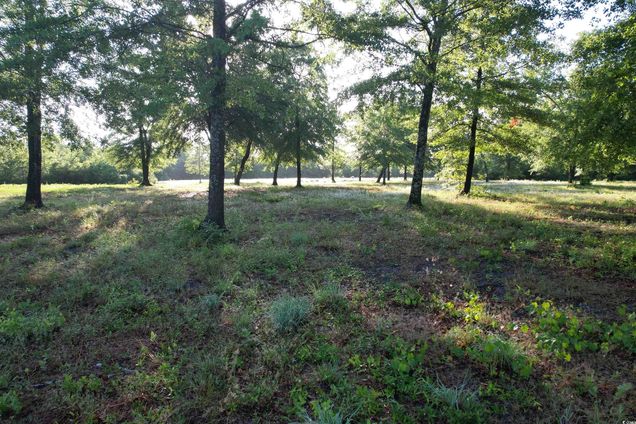 10 Acres Tbd Cohen Dr. Hemingway, SC Plot of land Sold - Photo 1 of 12. Opens carousel modal