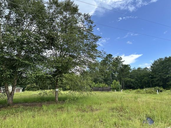 7023 New Bridge Rd. Nichols, SC Plot of land Active - Photo 1 of 5. Opens carousel modal