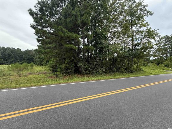 3082 Wise Rd. Conway, SC Plot of land Active - Photo 1 of 7. Opens carousel modal