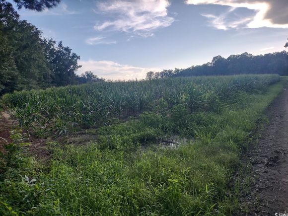 Tbd Beaver Rd. Hemingway, SC Plot of land Active - Photo 1 of 4. Opens carousel modal
