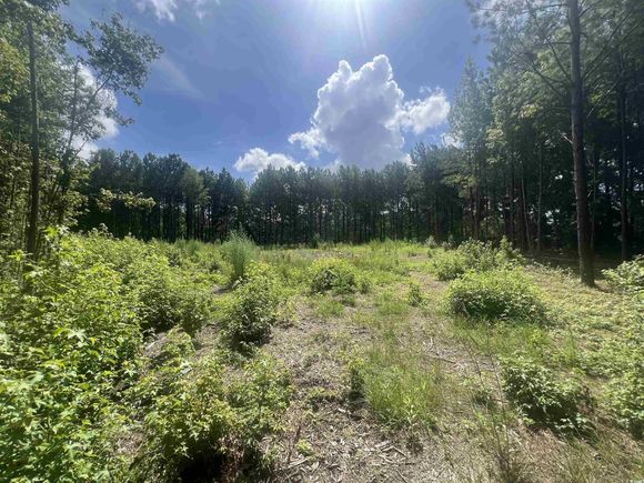 Tbd Lot 6b Red Bluff Rd. Loris, SC Plot of land Active - Photo 1 of 8. Opens carousel modal