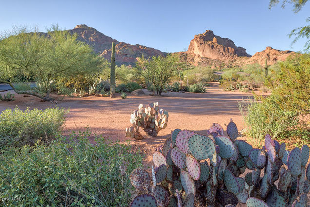 5354 E Camelback Manor Drive Paradise Valley, AZ House Sold - Photo 1 of 50. Opens carousel modal