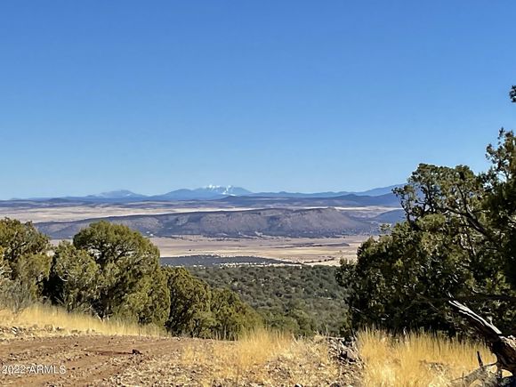 496 Sierra Verde Ranch Seligman, AZ Plot of land Sold - Photo 1 of 29. Opens carousel modal
