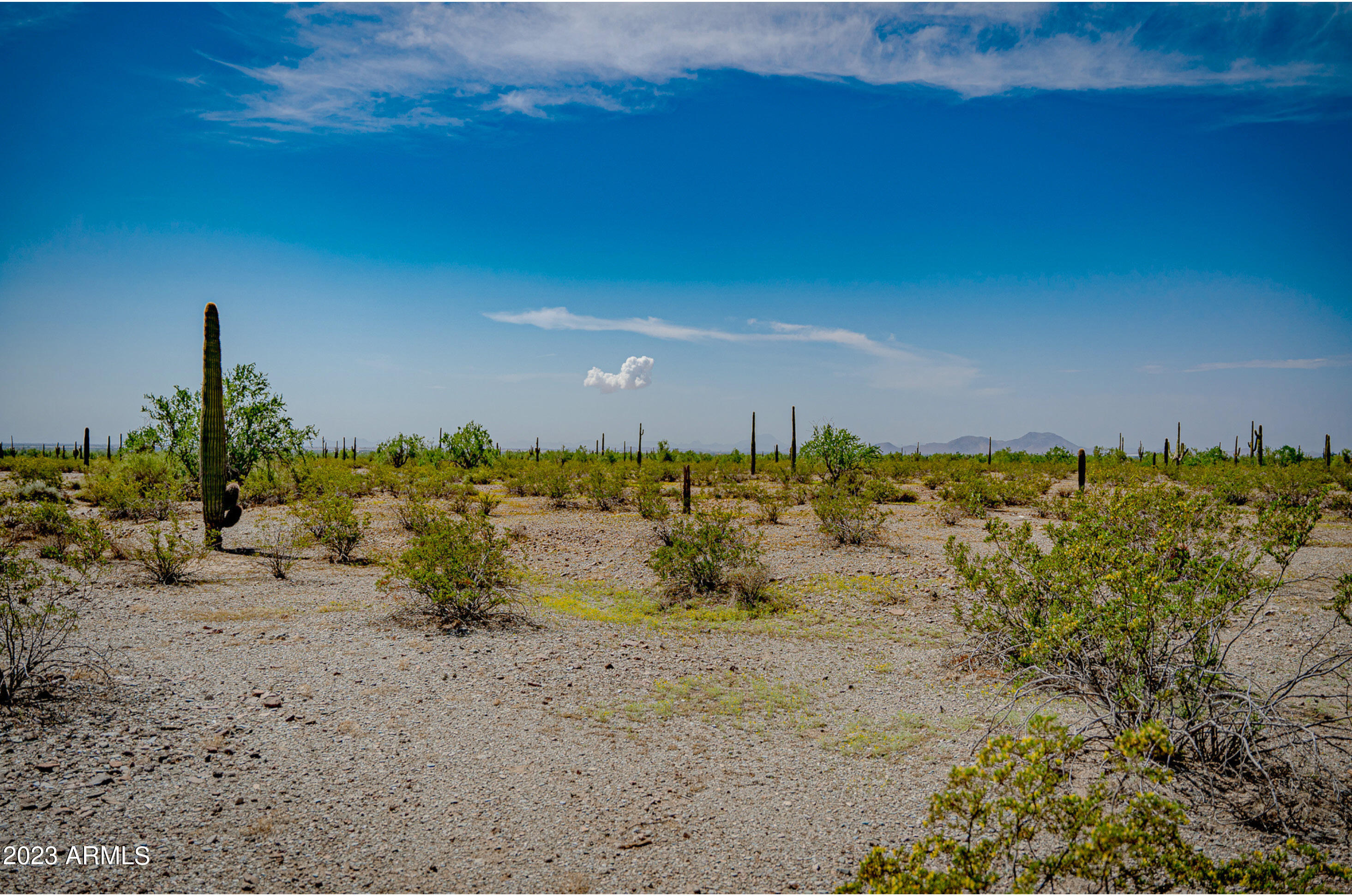 12acres N 401st Ave  