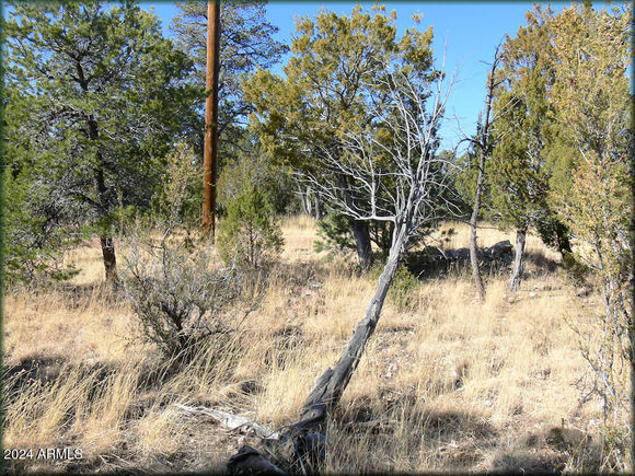 3326 Bear Heights Road Heber, AZ Plot of land Sold - Photo 1 of 5. Opens carousel modal