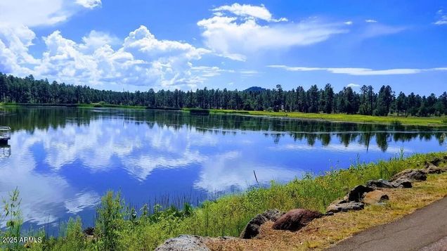 1986 S Woodland Lane Pinetop, AZ Plot of land Active - Photo 1 of 10. Opens carousel modal