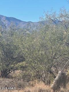 597 E Wildcat Lane Huachuca City, AZ Plot of land Active - Photo 1 of 9. Opens carousel modal