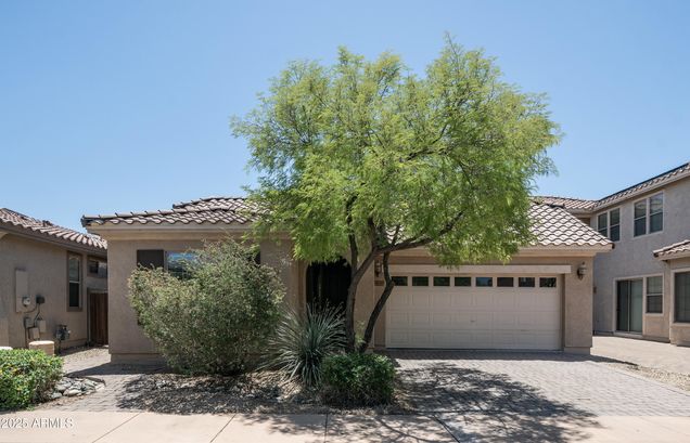 3439 W Darien Way