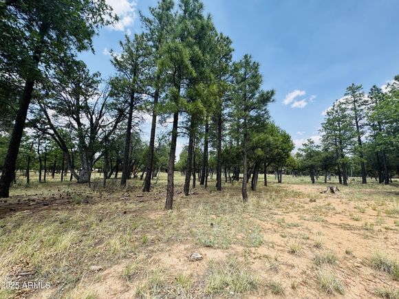 3236 Durango Drive Happy Jack, AZ Plot of land Active - Photo 1 of 16. Opens carousel modal