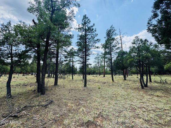 3266 Durango Drive Happy Jack, AZ Plot of land Active - Photo 1 of 9. Opens carousel modal