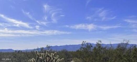 17xxx S Douglass Drive Yucca, AZ Plot of land Active - Photo 1 of 4. Opens carousel modal