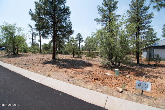 381 E Huckleberry Lane Show Low, AZ Plot of land Active - Photo 1 of 5. Opens carousel modal