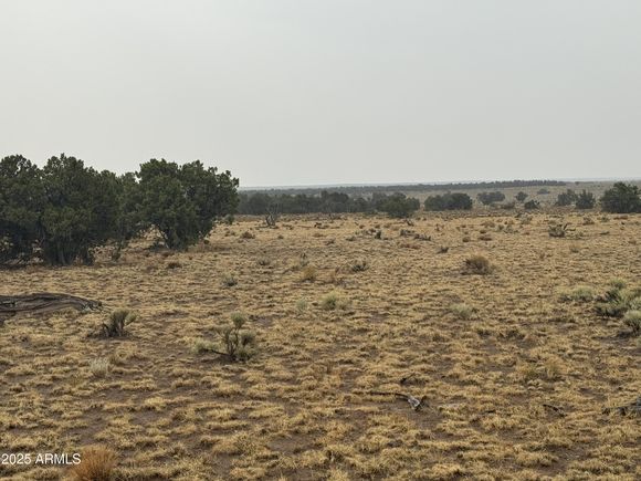 Lot 365 Arizona Park Estates Unit Iii St Johns, AZ Plot of land Active - Photo 1 of 6. Opens carousel modal
