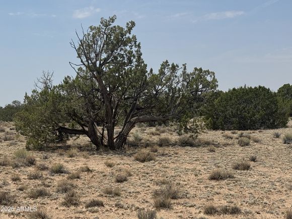 N7200 Parcel # 205 32 004a St Johns, AZ Plot of land Active - Photo 1 of 12. Opens carousel modal