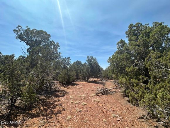 Lot #2 Power Line Road Heber, AZ Plot of land Active - Photo 1 of 9. Opens carousel modal