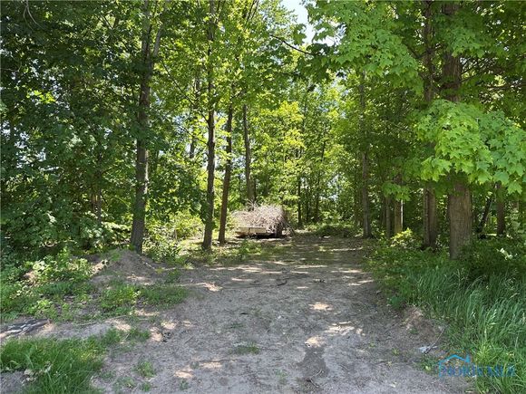 0 John Avenue Montpelier, OH Plot of land Active - Photo 1 of 3. Opens carousel modal