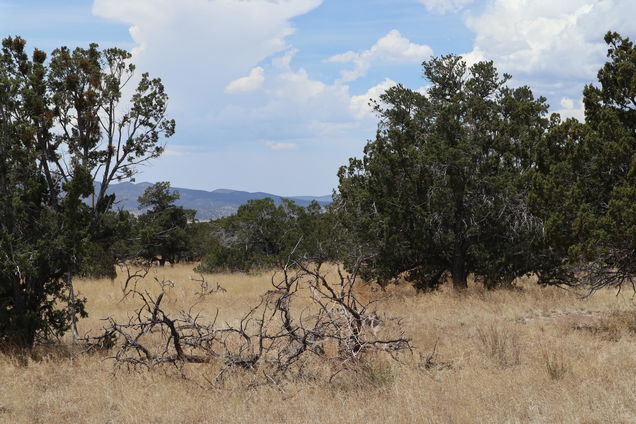 Lot 77 Western View Drive Datil, NM Plot of land Sold - Photo 1 of 8. Opens carousel modal
