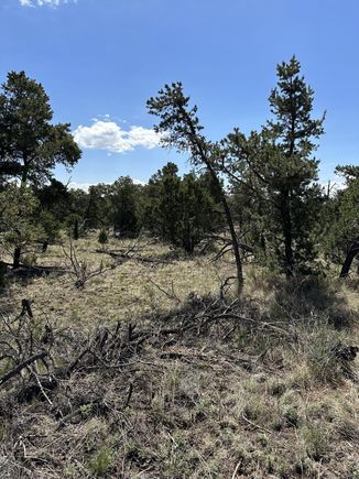 Unk Wilderness Lane Datil, NM Plot of land Sold - Photo 1 of 5. Opens carousel modal