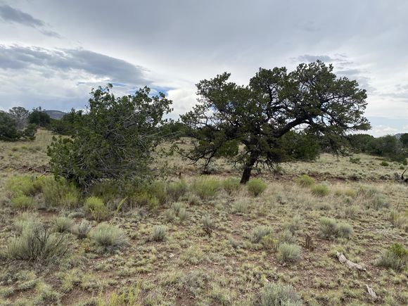 76 Wildwood Loop Datil, NM Plot of land Sold - Photo 1 of 17. Opens carousel modal