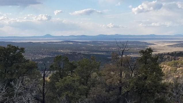 45 Elk Ridge Road Pie Town, NM Plot of land Sold - Photo 1 of 8. Opens carousel modal