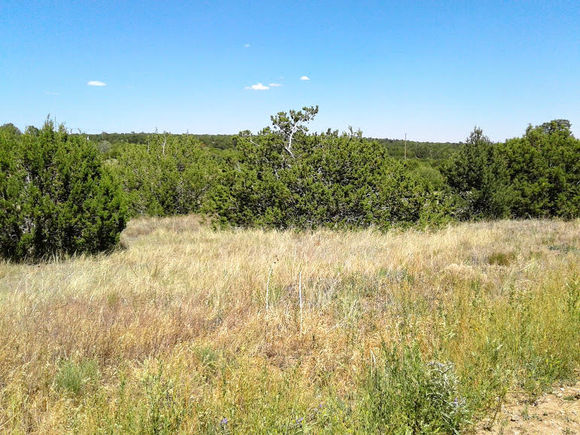 7 Belle Starr Road Edgewood, NM Plot of land Sold - Photo 1 of 3. Opens carousel modal