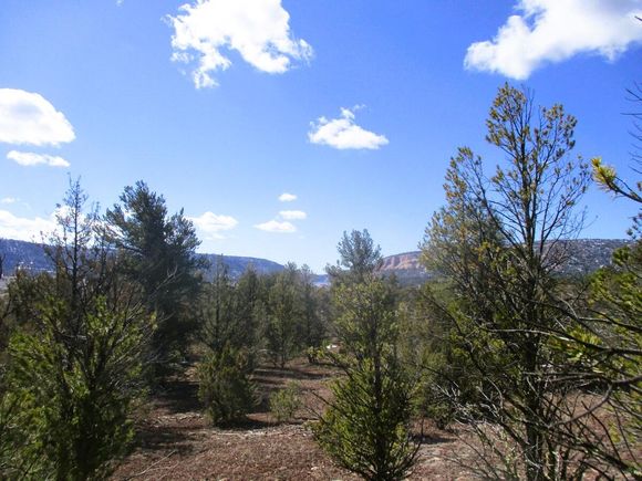Lot 23 Copperweed Road Ramah, NM Plot of land Sold - Photo 1 of 78. Opens carousel modal