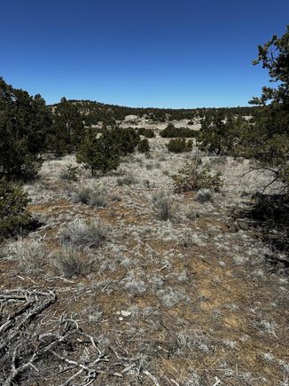 Xx Wild Horse Drive Pie Town, NM Plot of land Sold - Photo 1 of 7. Opens carousel modal