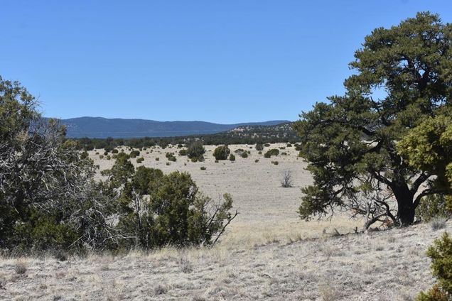 Lot 15 Old Thomas Place Iv Datil, NM Plot of land Sold - Photo 1 of 33. Opens carousel modal