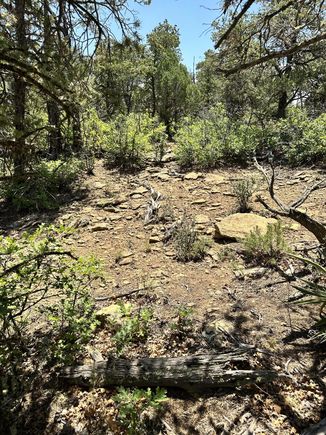Xx Camino Canyon Pie Town, NM Plot of land Sold - Photo 1 of 8. Opens carousel modal