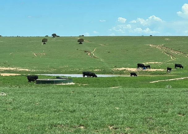 321 Riley Road Estancia, NM Plot of land Active - Photo 1 of 47. Opens carousel modal