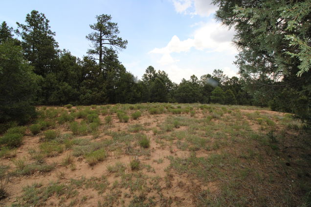 23 Nightingale Lane Tijeras, NM Plot of land Active - Photo 1 of 14. Opens carousel modal