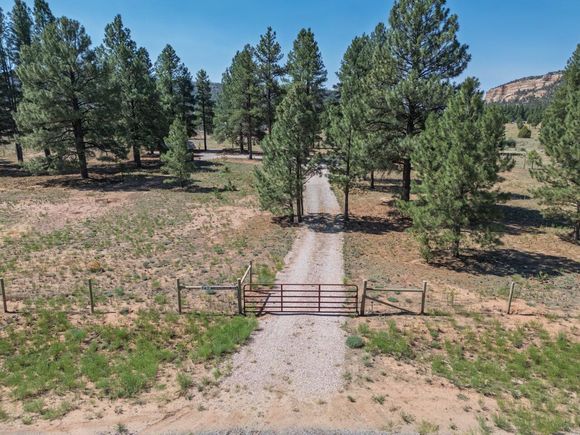 747 Timberlake Road Ramah, NM Plot of land Active - Photo 1 of 38. Opens carousel modal