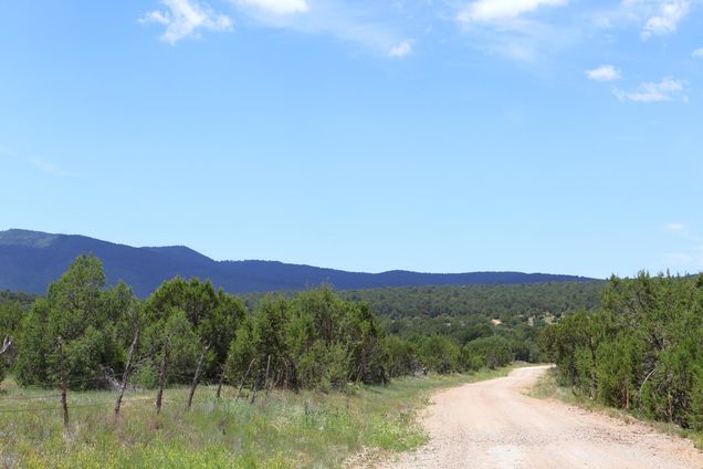 Lot 37 Sherwood Forest Torreon, NM Plot of land Active - Photo 1 of 6. Opens carousel modal
