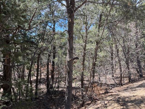 46 Big Dipper Road Tijeras, NM Plot of land Active - Photo 1 of 3. Opens carousel modal