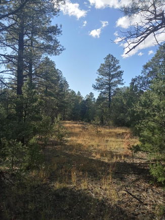 Lot 15 Yucca Drive Ramah, NM Plot of land Active - Photo 1 of 22. Opens carousel modal