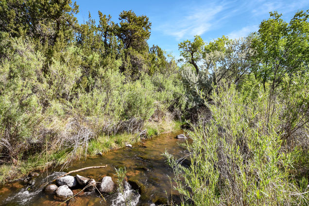 C3 And C4 Lands Of Clyde Smith Jemez Springs, NM Plot of land Active - Photo 1 of 30. Opens carousel modal