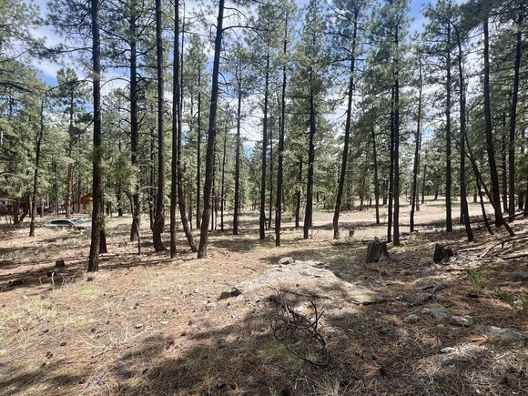 Lot 36 Spruce Loop Jemez Springs, NM Plot of land Active - Photo 1 of 13. Opens carousel modal