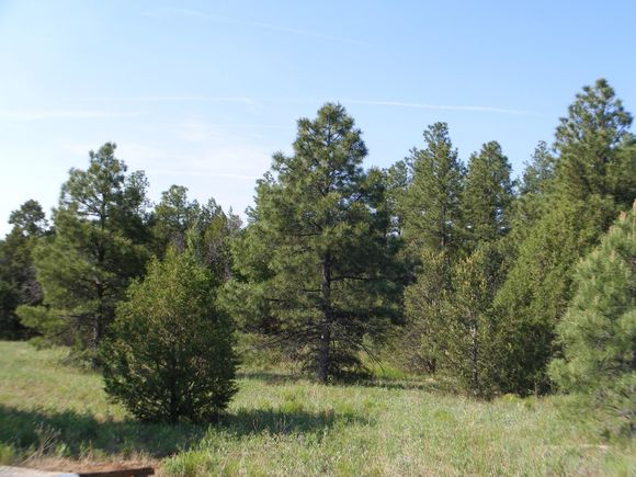 100 Oak Flat Road Tijeras, NM Plot of land Sold - Photo 1 of 15. Opens carousel modal