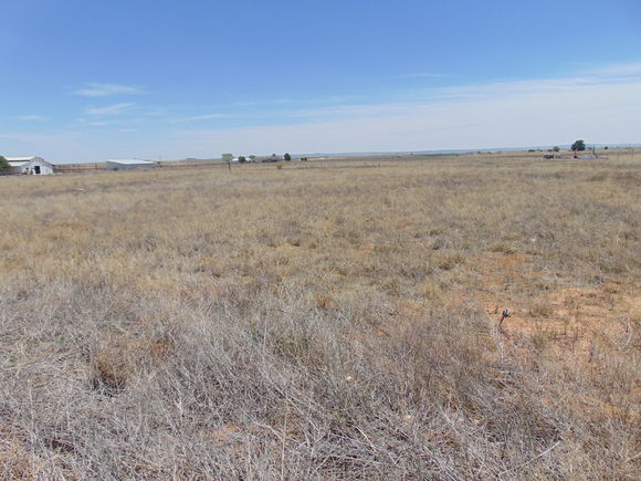 74 King Farm Road Moriarty, NM Plot of land Sold - Photo 1 of 7. Opens carousel modal