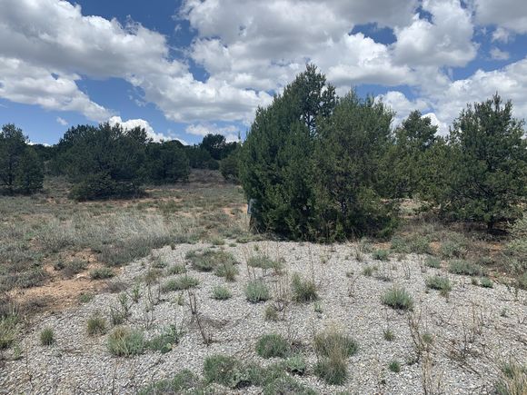 7 Nature Pointe Tijeras, NM Plot of land Active - Photo 1 of 18. Opens carousel modal