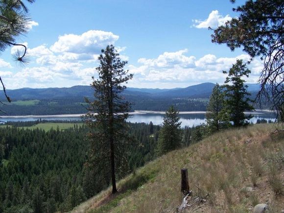 330x Bradeen Rd Gifford, WA Plot of land Sold - Photo 1 of 7. Opens carousel modal
