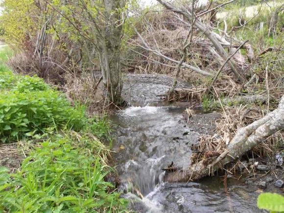 Tbd Anderson Rd Gifford, WA Plot of land Sold - Photo 1 of 19. Opens carousel modal