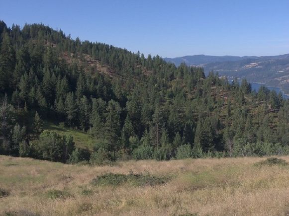 Zxo Cameron Rd Gifford, WA Plot of land Sold - Photo 1 of 19. Opens carousel modal