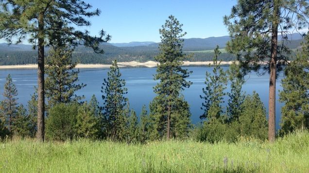 Xx Vista Ridge Way Gifford, WA Plot of land Sold - Photo 1 of 2. Opens carousel modal