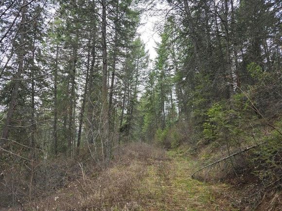 Tbd Vanesse Rd Kettle Falls, WA Plot of land Active - Photo 1 of 9. Opens carousel modal