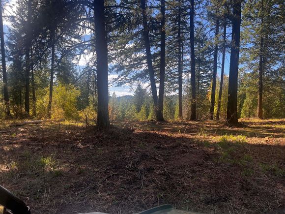Xxx Horseshoe Lake Rd Deer Park, WA Plot of land Sold - Photo 1 of 11. Opens carousel modal