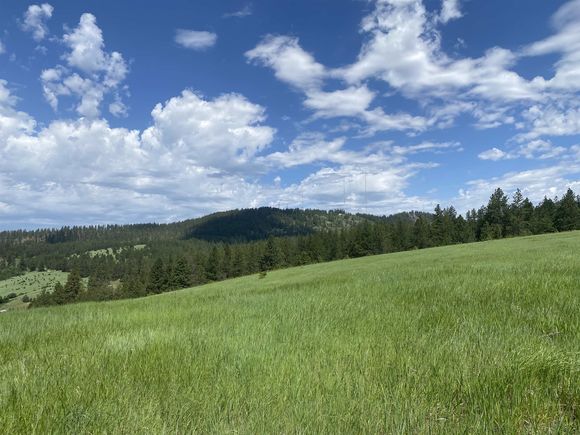 10212 S Valaneov Ln Spokane, WA Plot of land Sold - Photo 1 of 7. Opens carousel modal